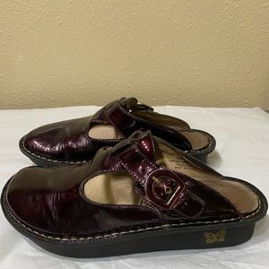 Alegria Maroon Clogs